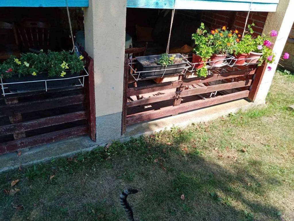 Farma 2 * Cazin